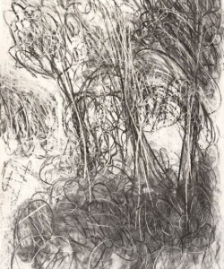 LAN_022